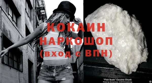 прущие грибы Абдулино