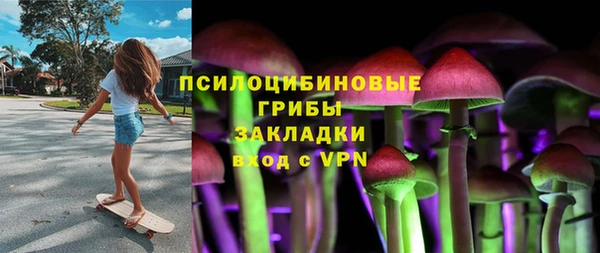 эйфоретик Алексин