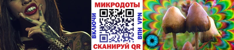 Псилоцибиновые грибы Cubensis  Искитим 