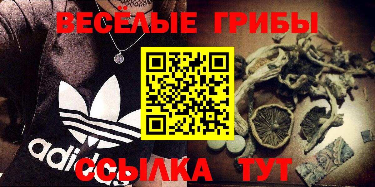 Псилоцибиновые грибы ЛСД Искитим
