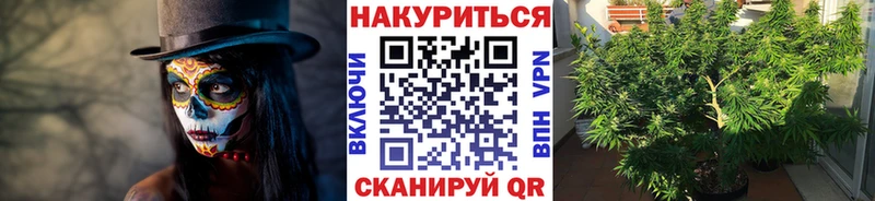 Бошки Шишки семена магазин наркотиков Искитим